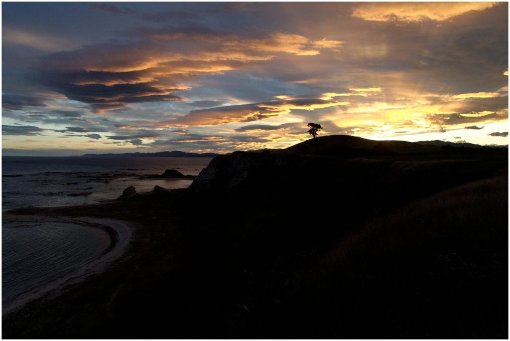 14 - Kaikoura (51).jpg